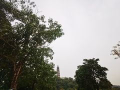-顺峰山公园