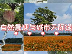 -海珠湖公园