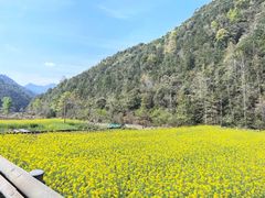 -花岩国家森林公园