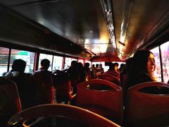 -BUS TOUR观光巴士
