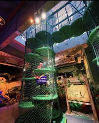 -恐龙探索乐园(磁器口店)