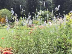 -深圳仙湖植物园-停车场