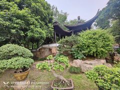 -盆景园(扬州大运河文化旅游度假区)