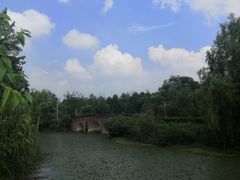 -白鹭湾湿地公园