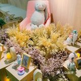魔都最火🔥的亲子互动体验馆，这里的宠物真的好萌！[加油]