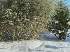-威海天沐温泉度假区