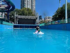 -武汉市青少年宫水上世界