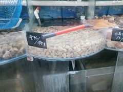 -鑫渔港海鲜本地菜·山海关浑锅(东戴河店)