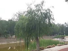 -绿岛公园(滨海新区)
