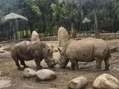 -北京野生动物园