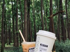 -上海共青森林公园