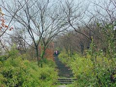 -杭州半山国家森林公园