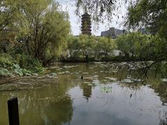 -长兴太湖图影湿地文化园