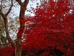 -上海交通大学董浩云航运博物馆