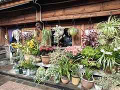 -龙姐私房菜(和顺古镇店)