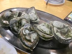 桑拿蚝-蚝专家(北滘店)