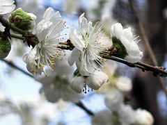 -龙湖星悦荟(颐和店)