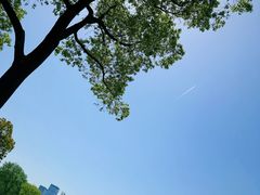 -滨湖塘西河公园