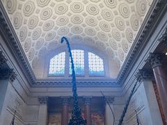 -美国自然历史博物馆