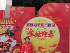 -武汉紫薇都市田园