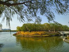 -大兴滨河森林公园