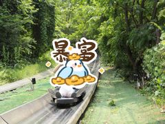 -富斯特索道