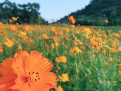 -云漫湖生态度假公园