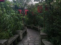 -花溪公园