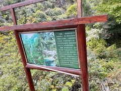 -庐山碧龙潭风景区