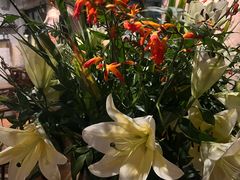 -Apollo·西班牙小酒馆(安福路店)