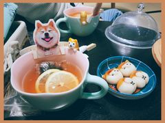 -逗柴咖啡屋·狗咖猫咖宠物桌游