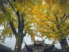 -惠山古镇·寄畅园