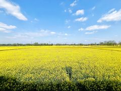 -中国天府农业博览园