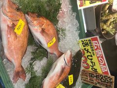 -海鮮寿司とれとれ市場