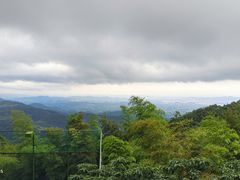 -莫干山风景区
