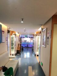 -深圳美莱医疗美容医院