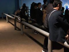 -洛阳龙门海洋馆