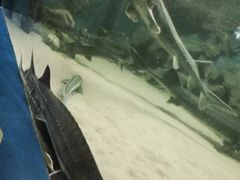 -厦门海底世界