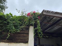 -悦哉·派对·草坪婚礼·围炉煮茶(三圣乡店)