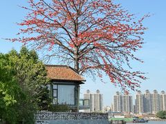 -喜洲吧·江畔老船厂·庭院餐厅(喜临院店)