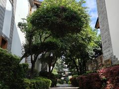 -时光吧·大堂吧·丽江和府洲际度假酒店