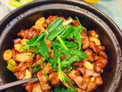 -朱记乳鸽王·非遗石岐乳鸽·全鸽宴(大兴旗舰店)