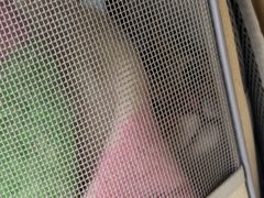 -宠福鑫康馨动物医院·骨科·眼科