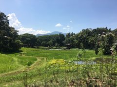 -四季酒店下午茶