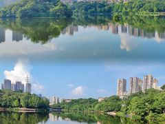 -重庆彩云湖湿地公园