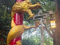 -杭州黄龙洞