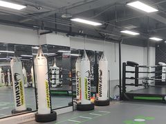 -拳力汇散打搏击泰拳俱乐部(绿地缤纷城店)