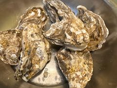 -宾朋海鲜饭庄(兴海路店)