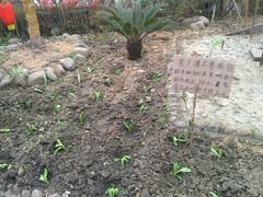 -田园印象·成都土菜院子(华阳店)