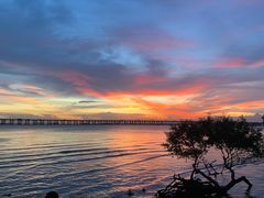 -宝安西湾红树林湿地公园